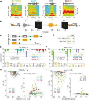 Formant-Based Recognition of Words and Other Naturalistic Sounds in Rhesus Monkeys